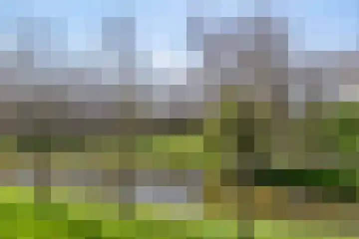 Oude-Tongepad 30 Rotterdam thumbnail 22