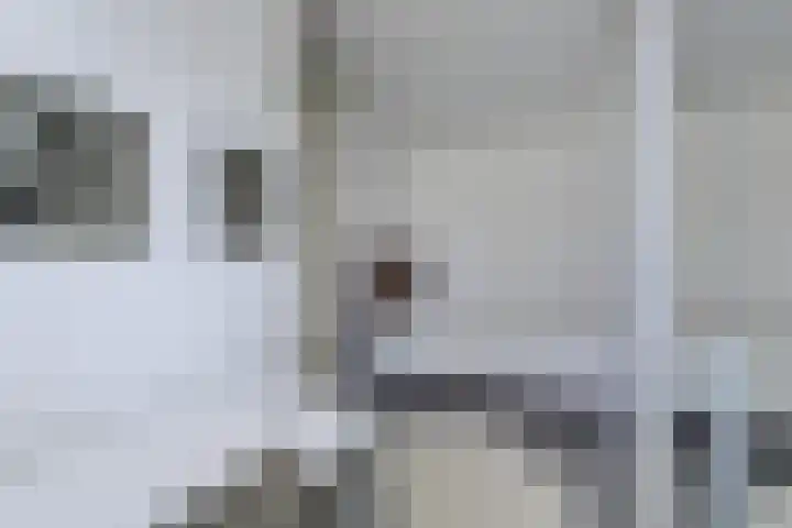 Oude-Tongepad 30 Rotterdam thumbnail 23