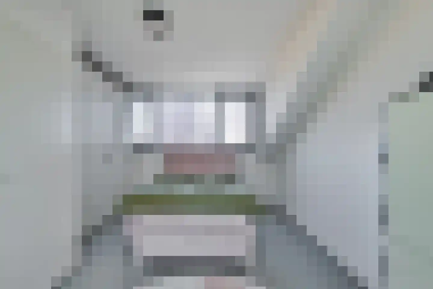 Oude-Tongepad 30 Rotterdam thumbnail 25