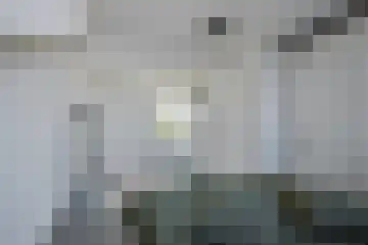Oude-Tongepad 30 Rotterdam thumbnail 26