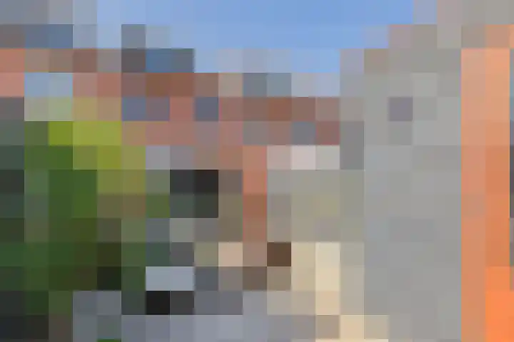 Oude-Tongepad 30 Rotterdam thumbnail 29