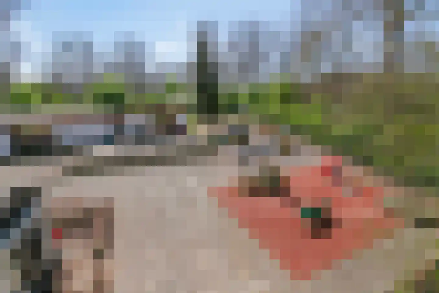 Oude-Tongepad 30 Rotterdam thumbnail 30