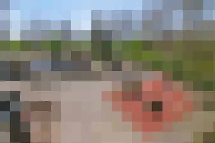 Oude-Tongepad 30 Rotterdam thumbnail 30