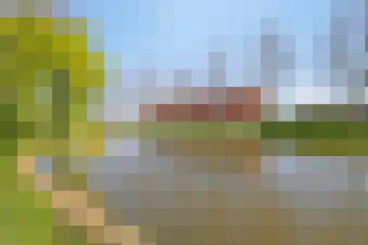 Oude-Tongepad 30 Rotterdam thumbnail 34