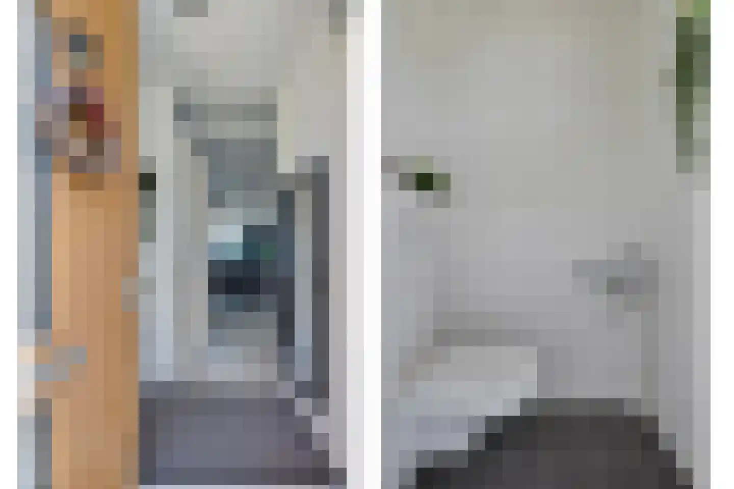 Oude-Tongepad 30 Rotterdam thumbnail 7