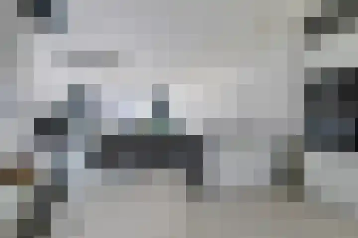 Oude-Tongepad 30 Rotterdam thumbnail 9