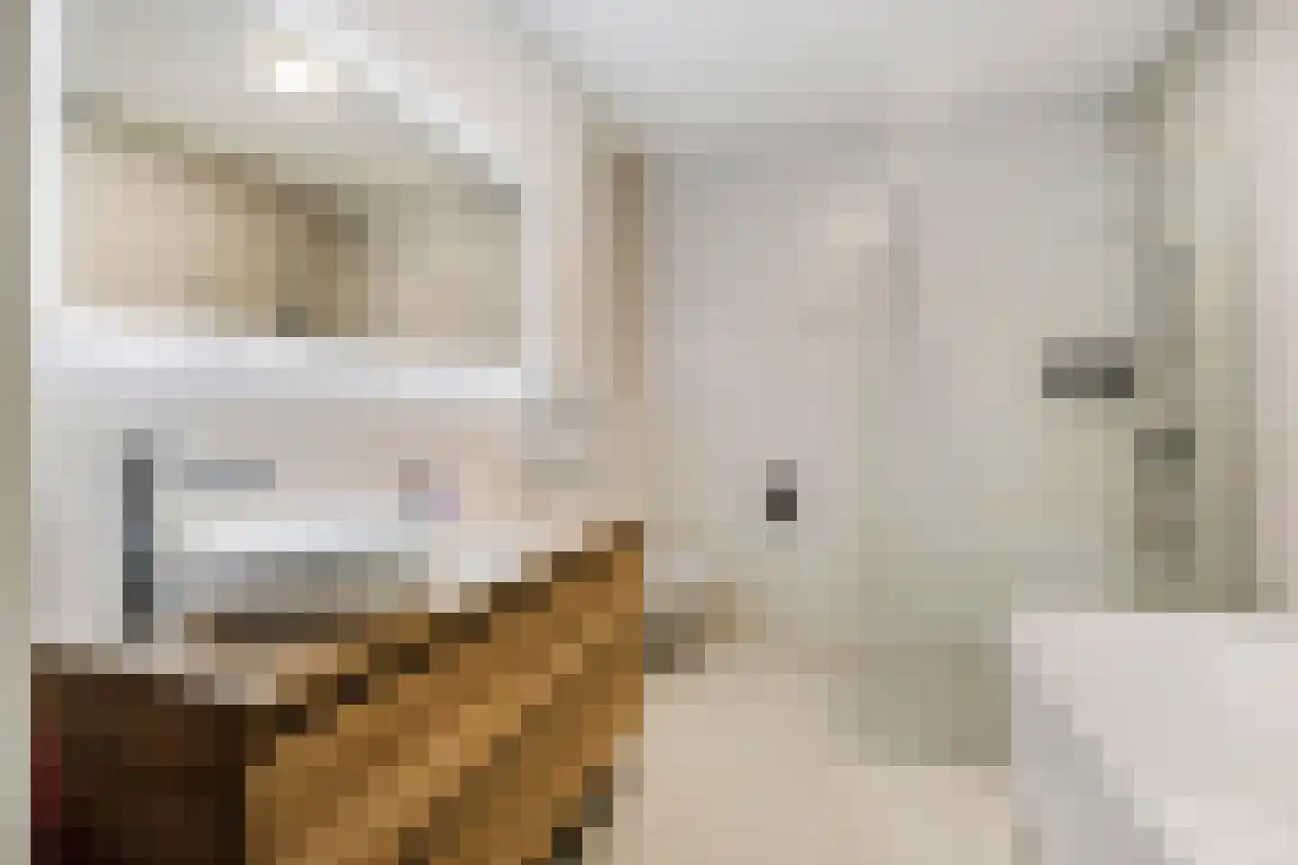 Oude Torenstraat 1 A 7 Hilversum thumbnail 26