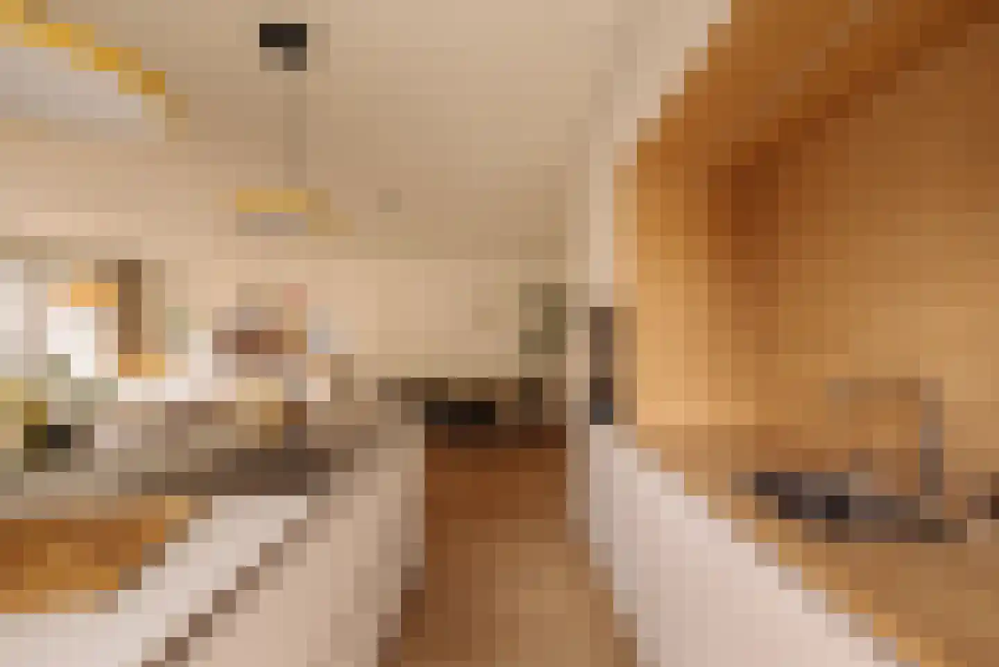 Oude Torenstraat 1 B 8 Hilversum thumbnail 14