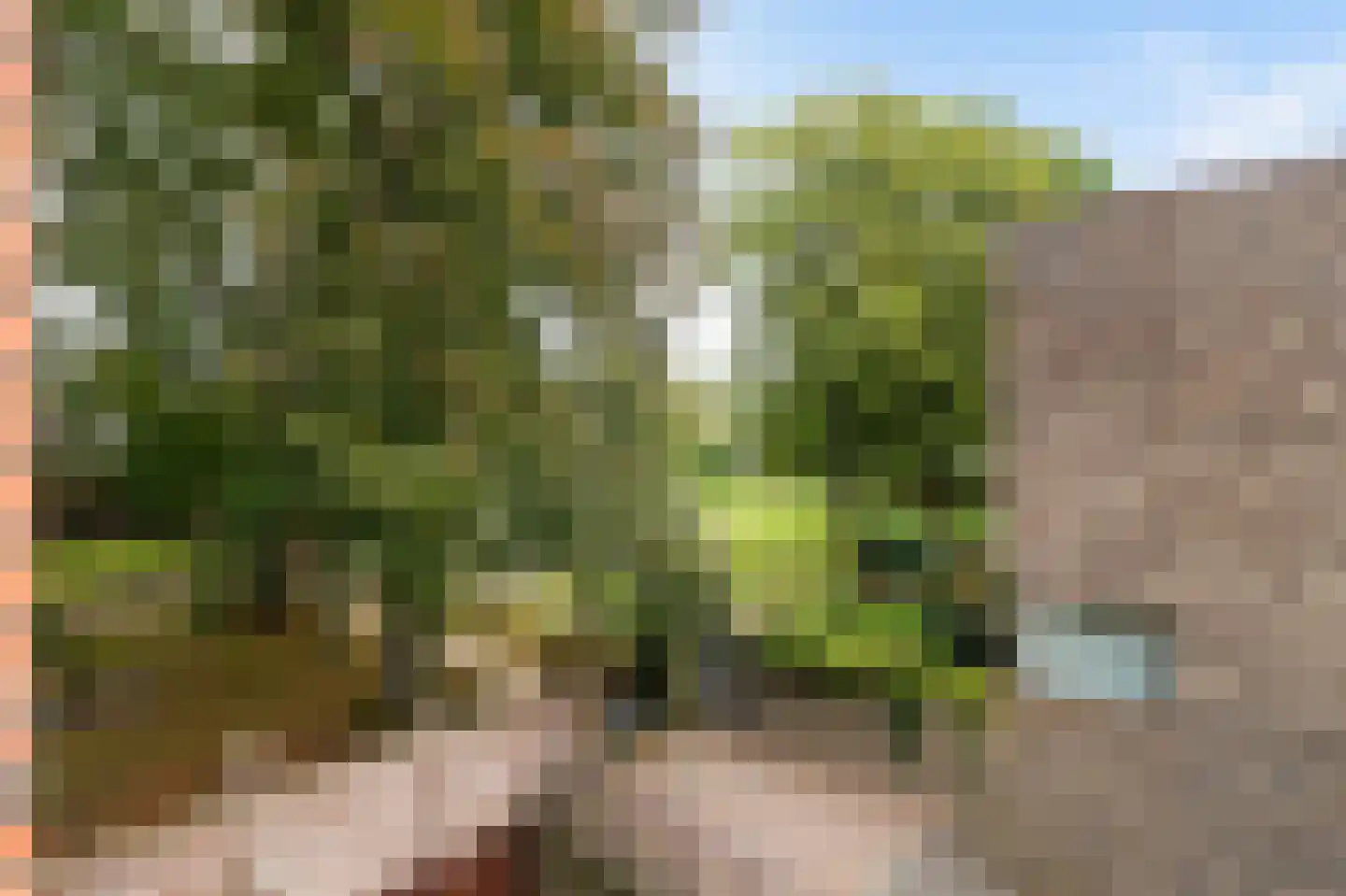 Oude Torenstraat 1 C 5 Hilversum thumbnail 14