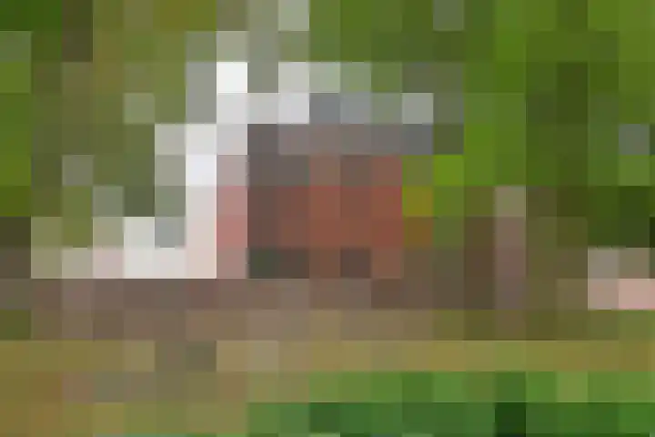 Oude Torenstraat 1 C 6 Hilversum thumbnail 14