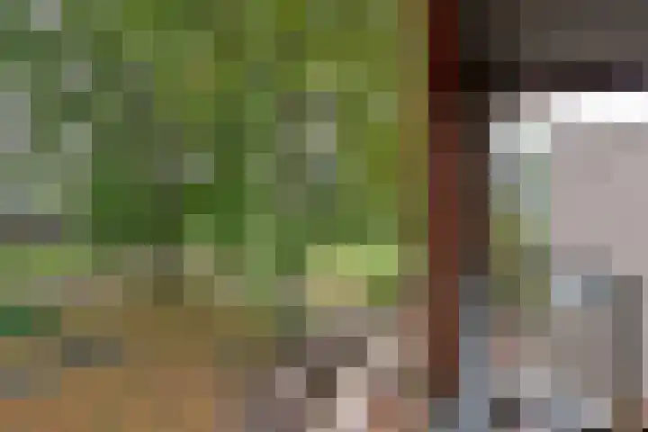 Oude Torenstraat 1 C 6 Hilversum thumbnail 15