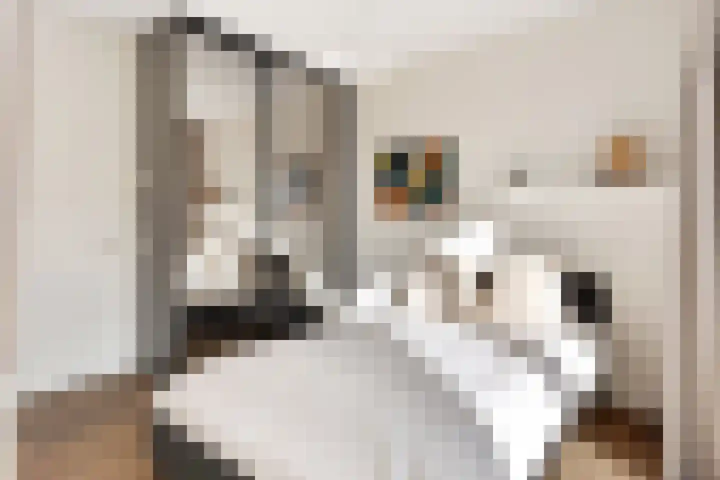 Oude Torenstraat 1 D 1 Hilversum thumbnail 19