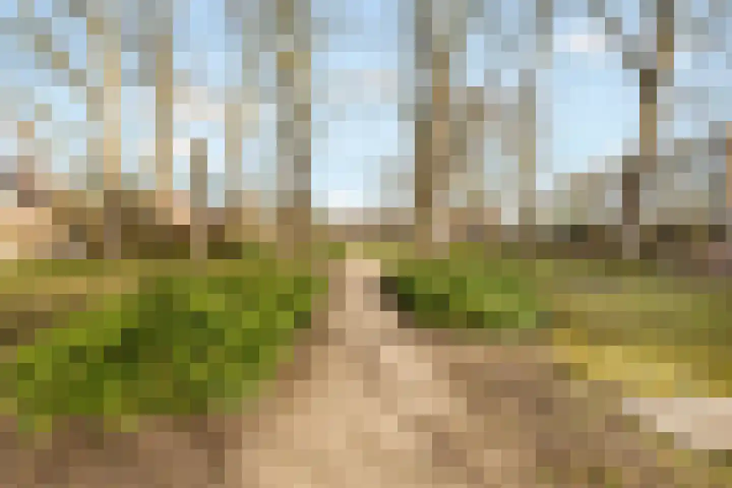 Oude Torenstraat 1 D 1 Hilversum thumbnail 32