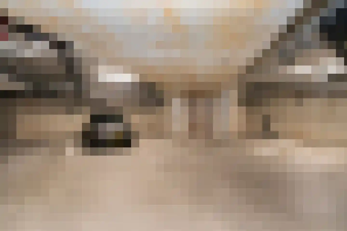 Oude Torenstraat 1 E 1 Hilversum thumbnail 16