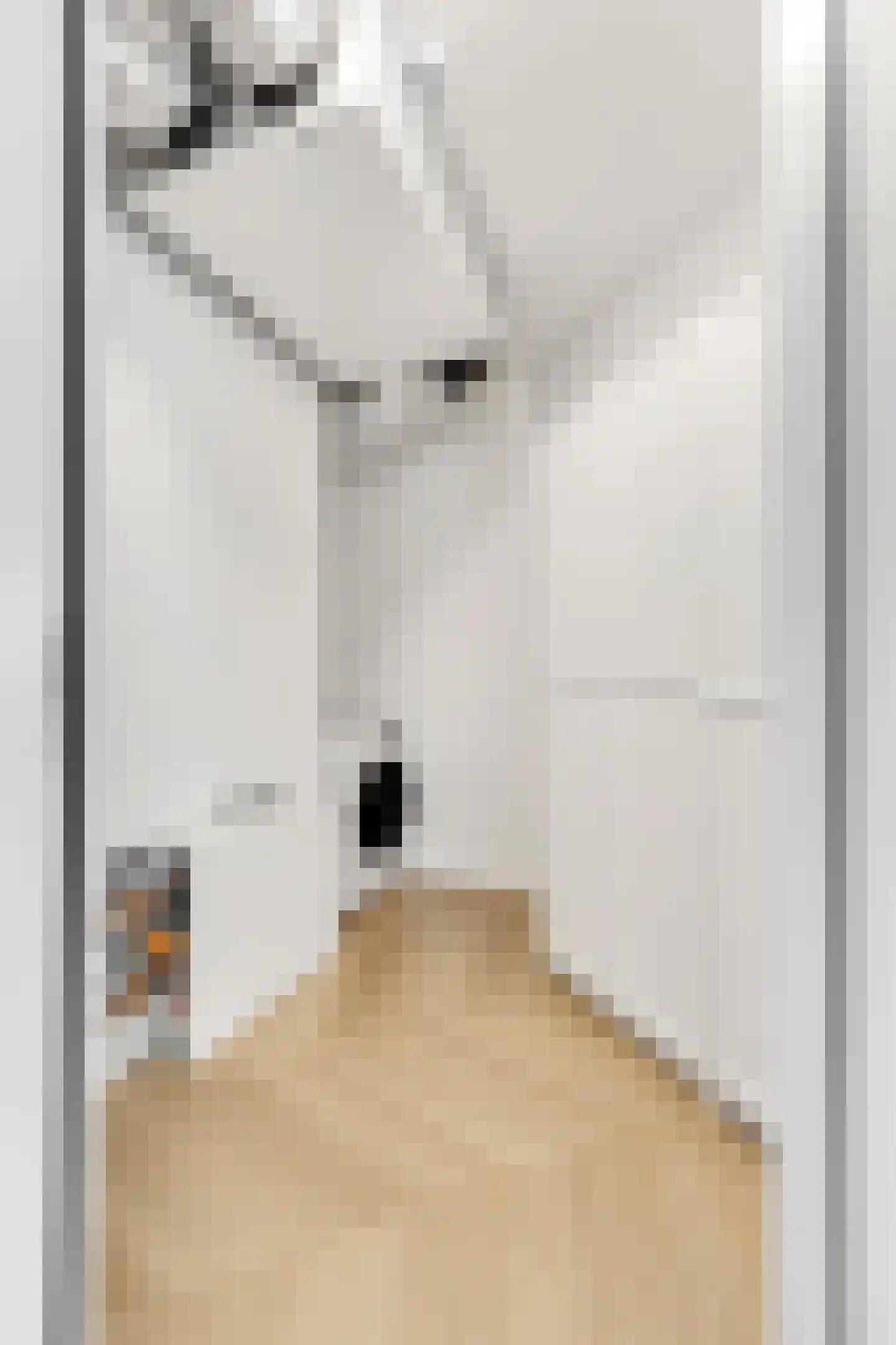 Oude Torenstraat 1 E 9 Hilversum thumbnail 18