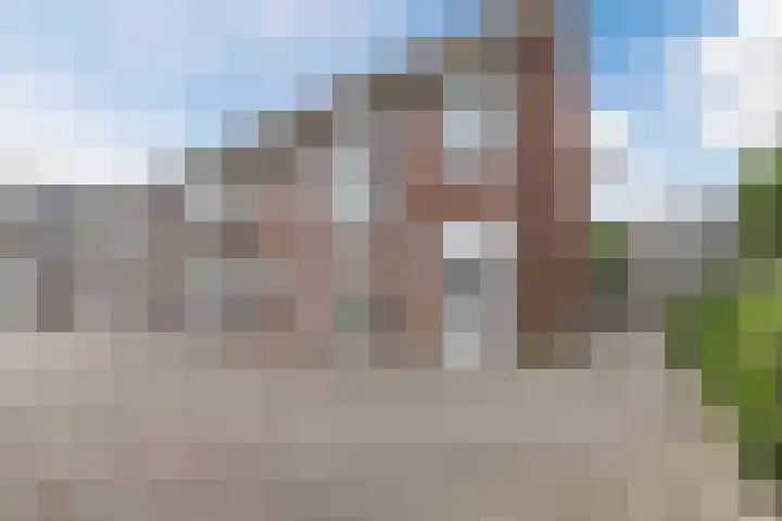 Oude Torenstraat 17 Eindhoven thumbnail 18