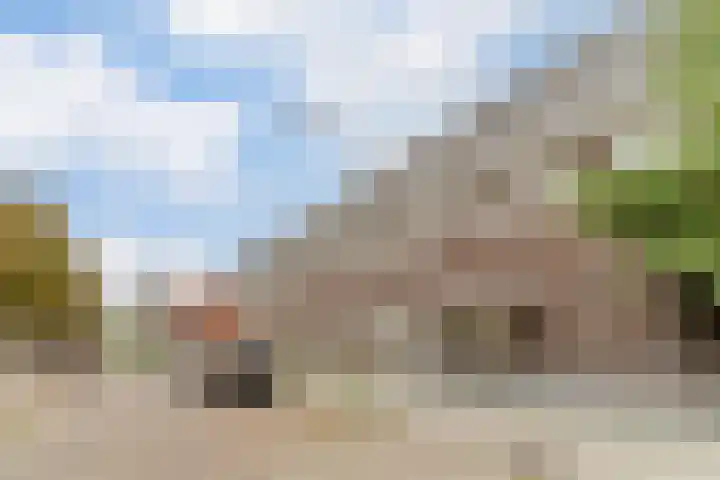 Oude Torenstraat 19 Eindhoven thumbnail 25
