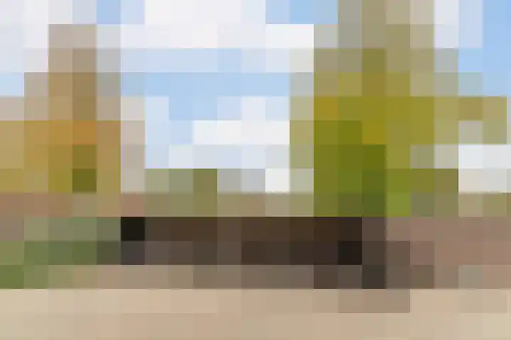 Oude Torenstraat 19 Eindhoven thumbnail 29