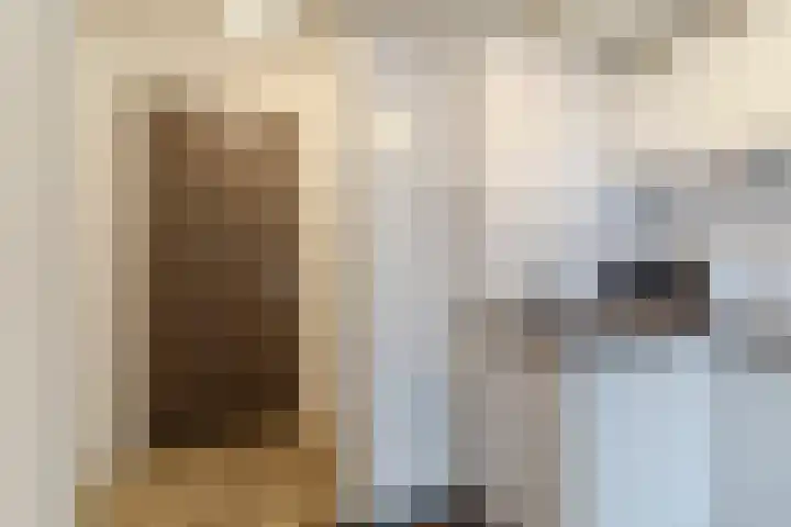 Oude Torenstraat 19 Eindhoven thumbnail 4