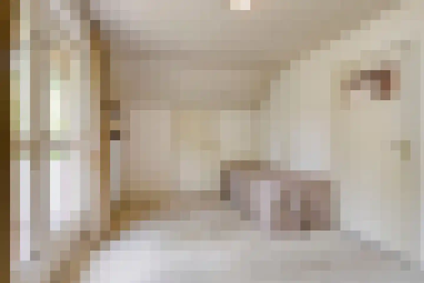 Oude Torenstraat 2 Helmond thumbnail 24