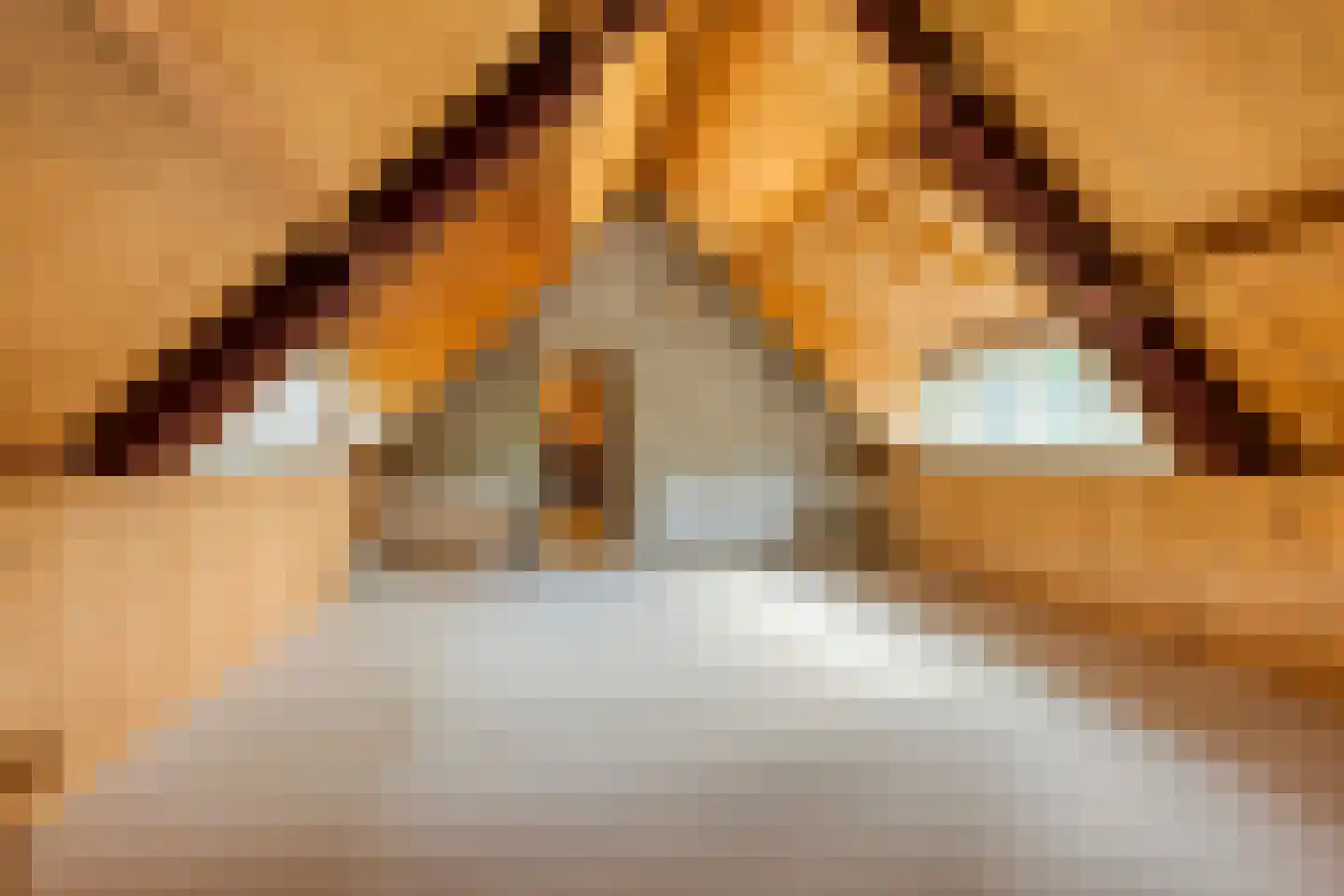 Oude Torenstraat 2 Helmond thumbnail 26