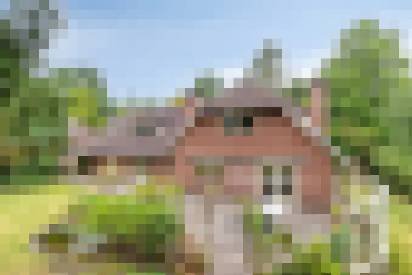 Oude Torenstraat 2 Helmond thumbnail 28