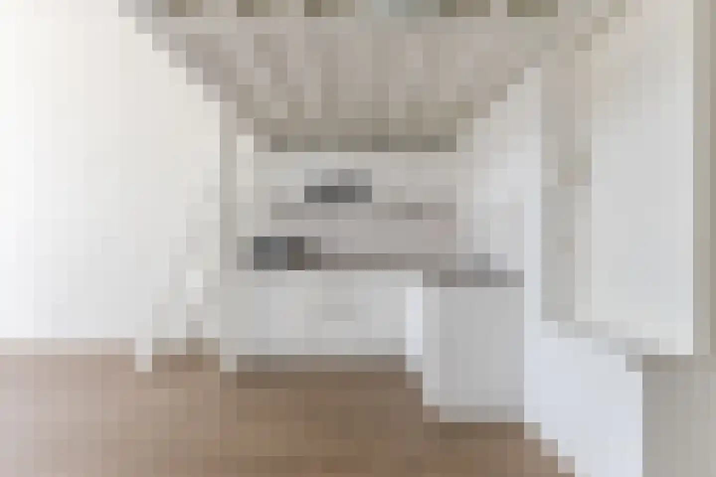 Oude Torenstraat 25 Eindhoven thumbnail 12