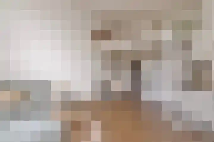 Oude Torenstraat 41 Eindhoven thumbnail 12