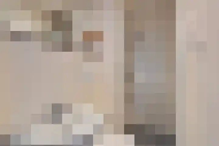 Oude Torenstraat 41 Eindhoven thumbnail 17