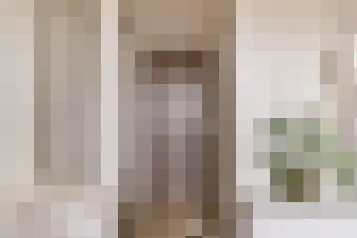 Oude Torenstraat 41 Eindhoven thumbnail 19