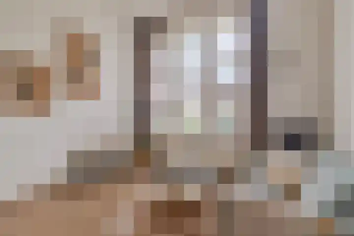 Oude Torenstraat 41 Eindhoven thumbnail 5