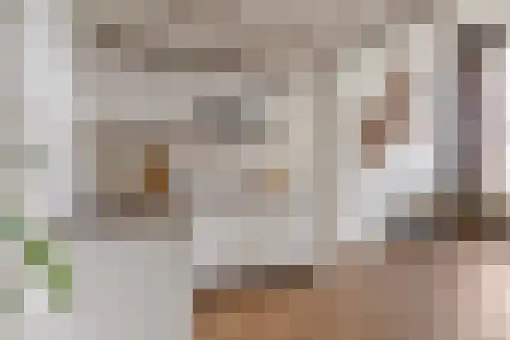 Oude Torenstraat 41 Eindhoven thumbnail 6
