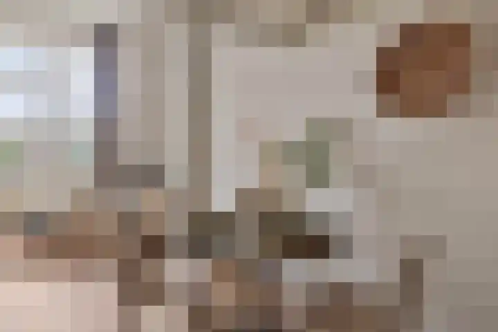 Oude Torenstraat 41 Eindhoven thumbnail 7