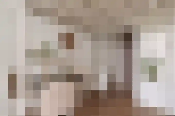 Oude Torenstraat 41 Eindhoven thumbnail 8