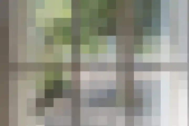Oude Torenstraat 57 Eindhoven thumbnail 20