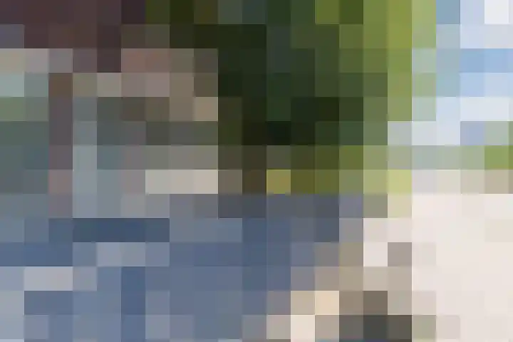 Oude Torenstraat 57 Eindhoven thumbnail 24
