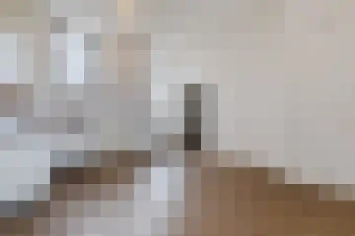 Oude Torenstraat 59 Eindhoven thumbnail 4