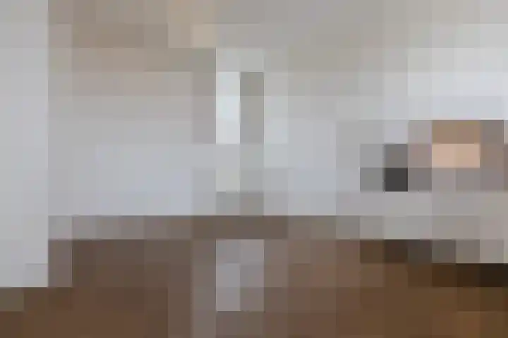 Oude Torenstraat 59 Eindhoven thumbnail 6