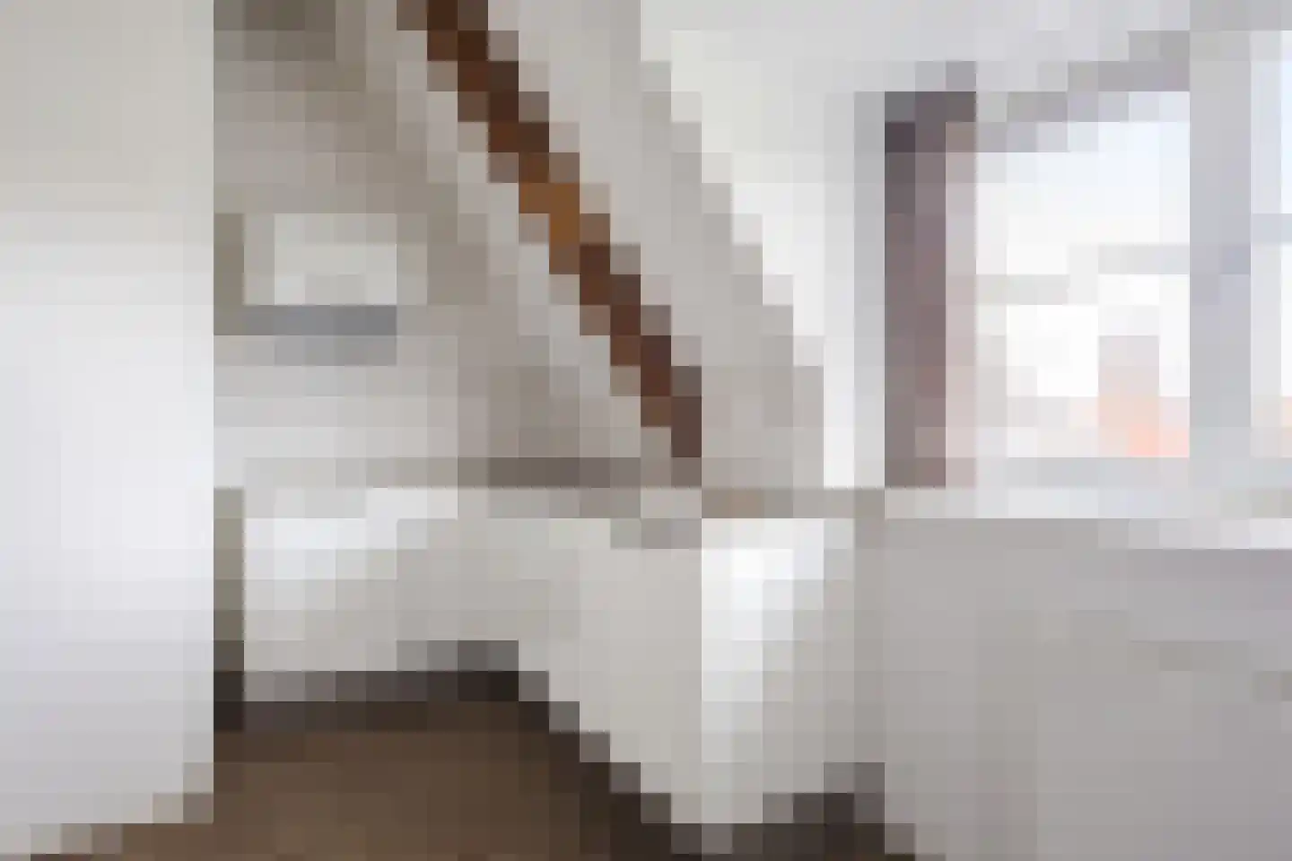 Oude Torenstraat 63 Eindhoven thumbnail 10
