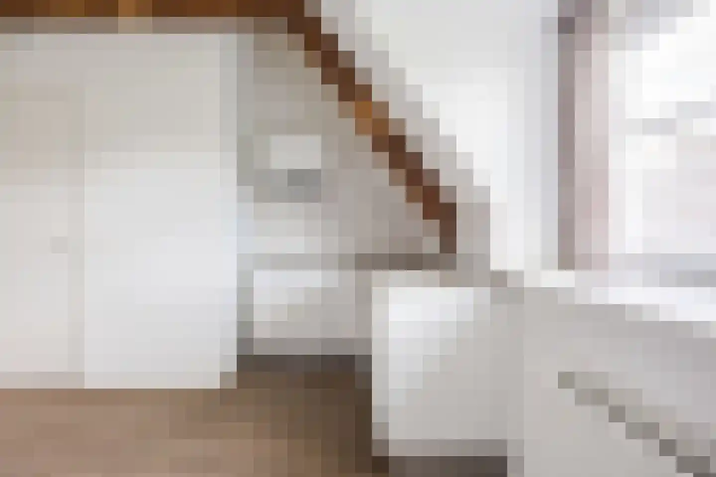 Oude Torenstraat 63 Eindhoven thumbnail 11