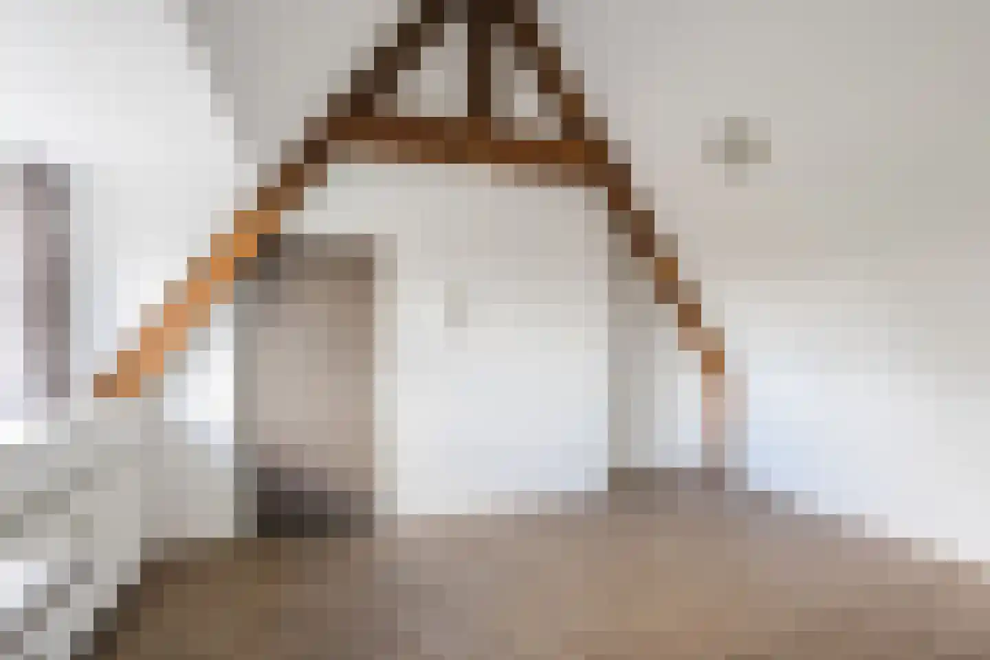Oude Torenstraat 63 Eindhoven thumbnail 6