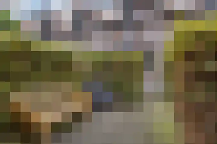 Oude Touwfabriek 20 Oudewater thumbnail 19