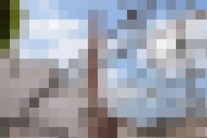 Oude Touwfabriek 20 Oudewater thumbnail 23