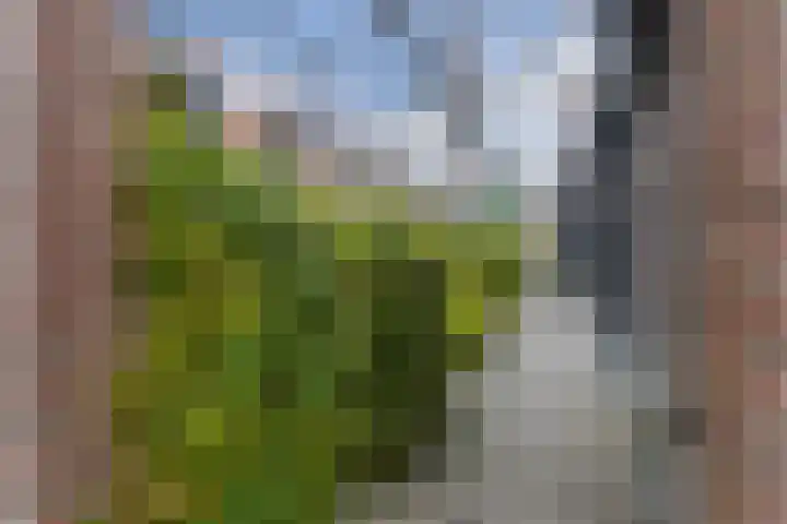 Oude Touwfabriek 20 Oudewater thumbnail 4