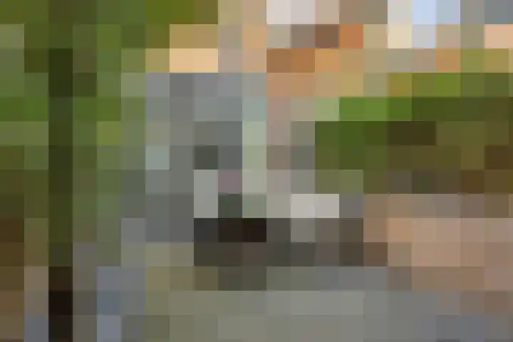 Oude Touwfabriek 24 Oudewater thumbnail 12