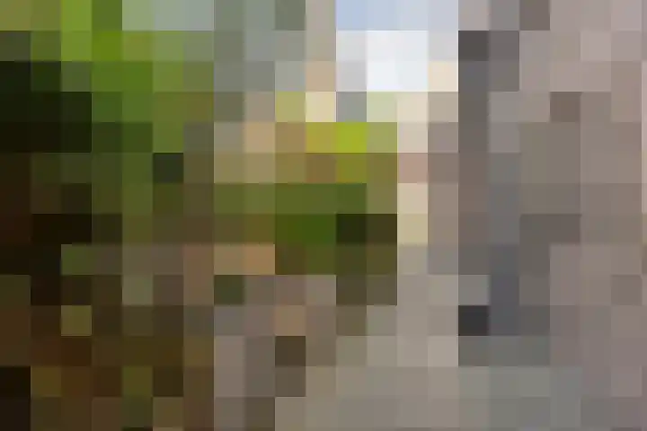 Oude Touwfabriek 24 Oudewater thumbnail 14