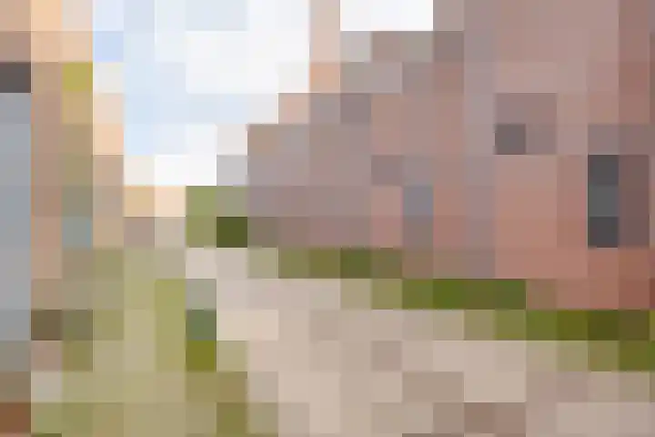 Oude Touwfabriek 24 Oudewater thumbnail 16
