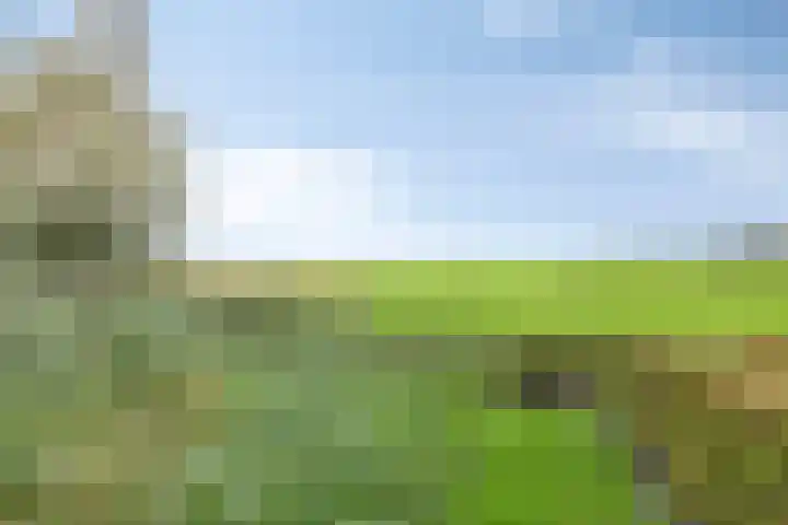 Oude Touwfabriek 24 Oudewater thumbnail 17