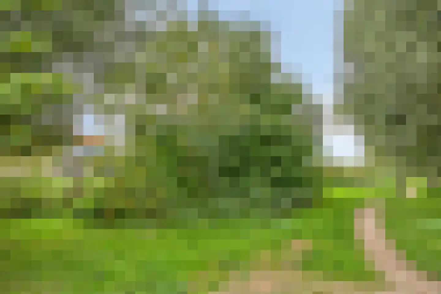 Oude Touwfabriek 40 Oudewater thumbnail 43