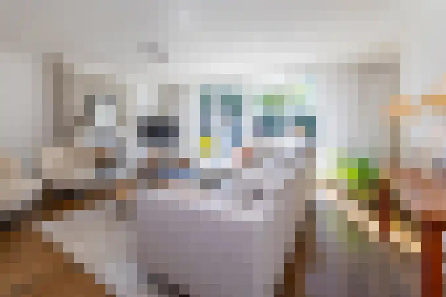 Oude Trambaan 19 A Esbeek thumbnail 11